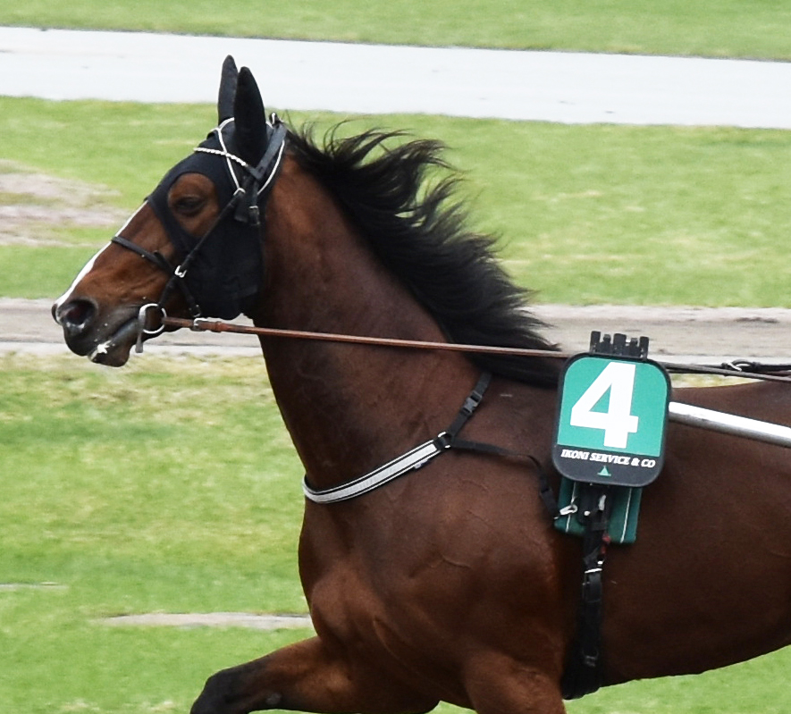 Even Younger 240421-7